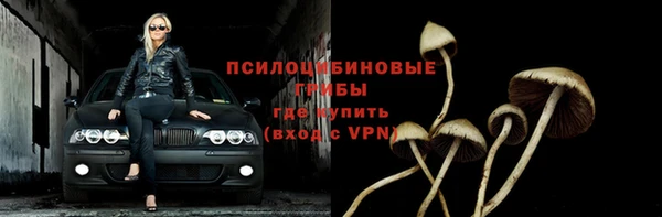 гидра Алексин