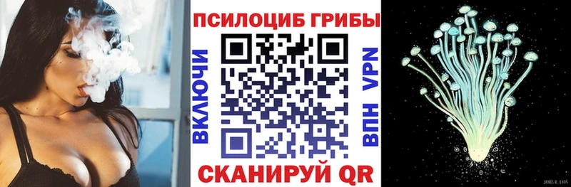 Псилоцибиновые грибы мухоморы  Берёзовский 
